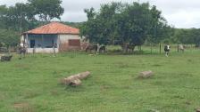 Fazenda em Rosario Oeste