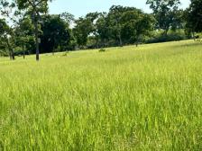 Fazenda em Rosario Oeste