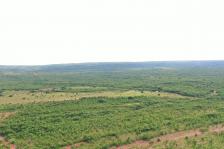 Fazenda em Rosario Oeste