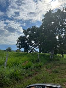 Fazenda em Pocone
