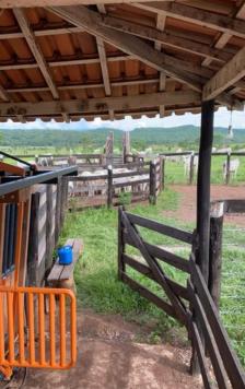 Fazenda em Cuiaba